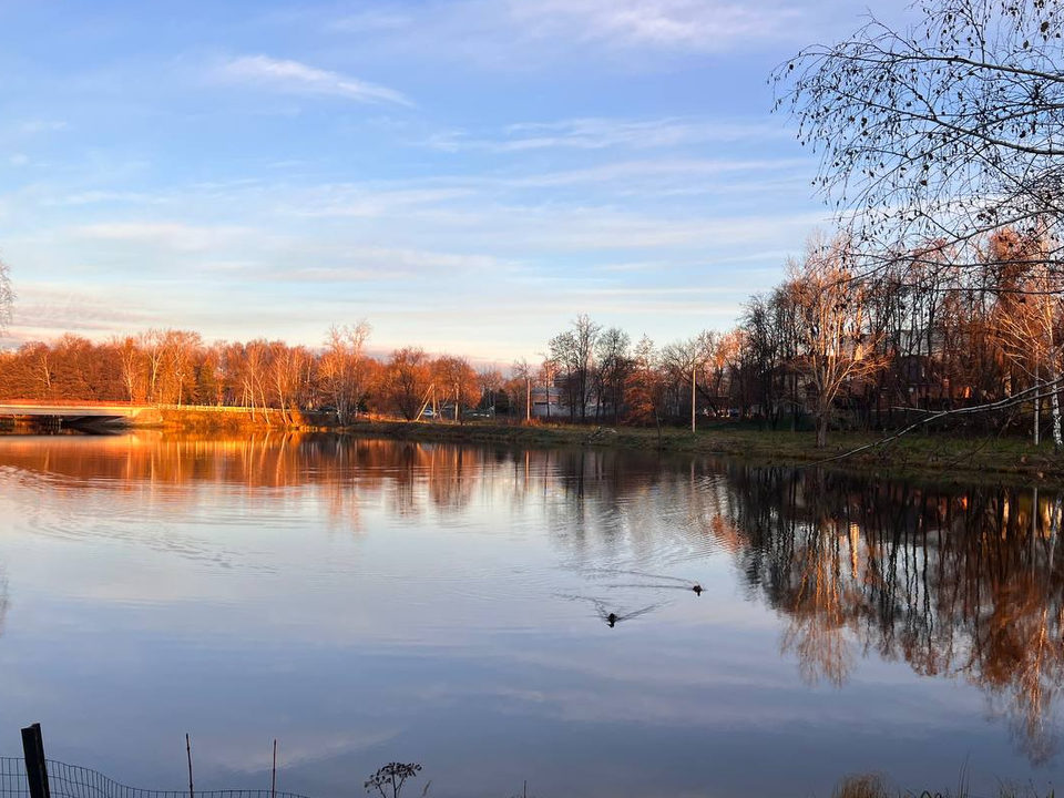 Начало декабря в Подмосковье будет бесснежным и не по-зимнему теплым