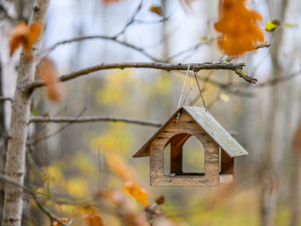 С вечера понедельника температура в Подмосковье начнет стремительно расти