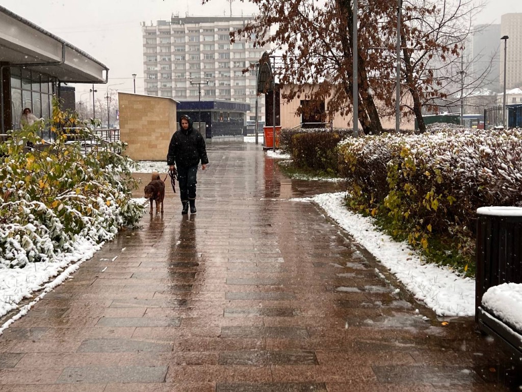 Рекордное похолодание: в Подмосковье столбики термометров опустились до -7,6°