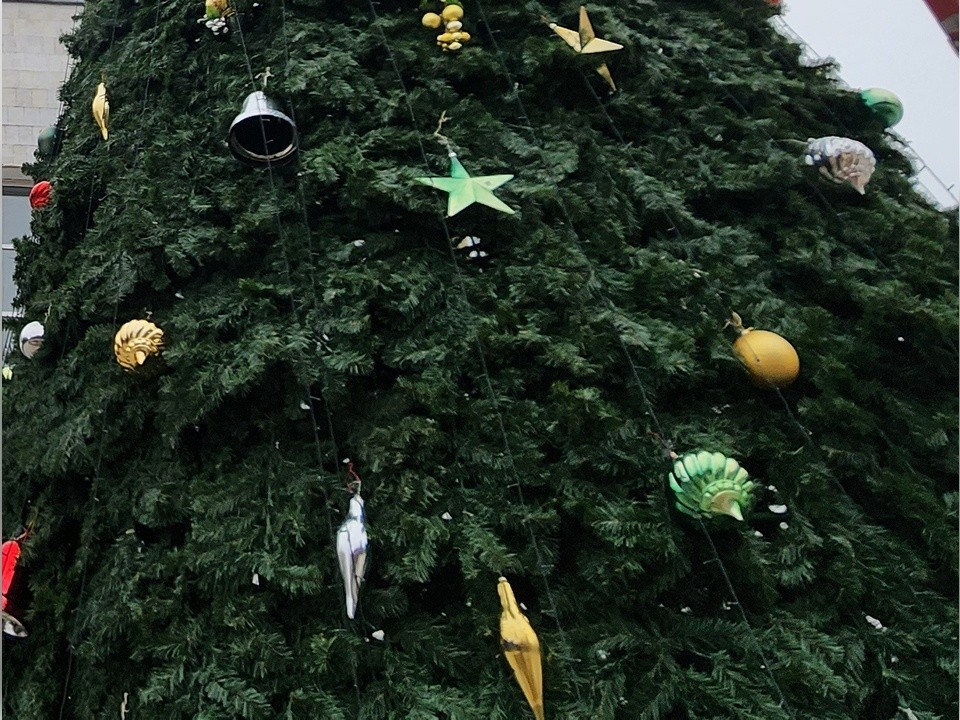 Первые новогодние елки появились в Химках