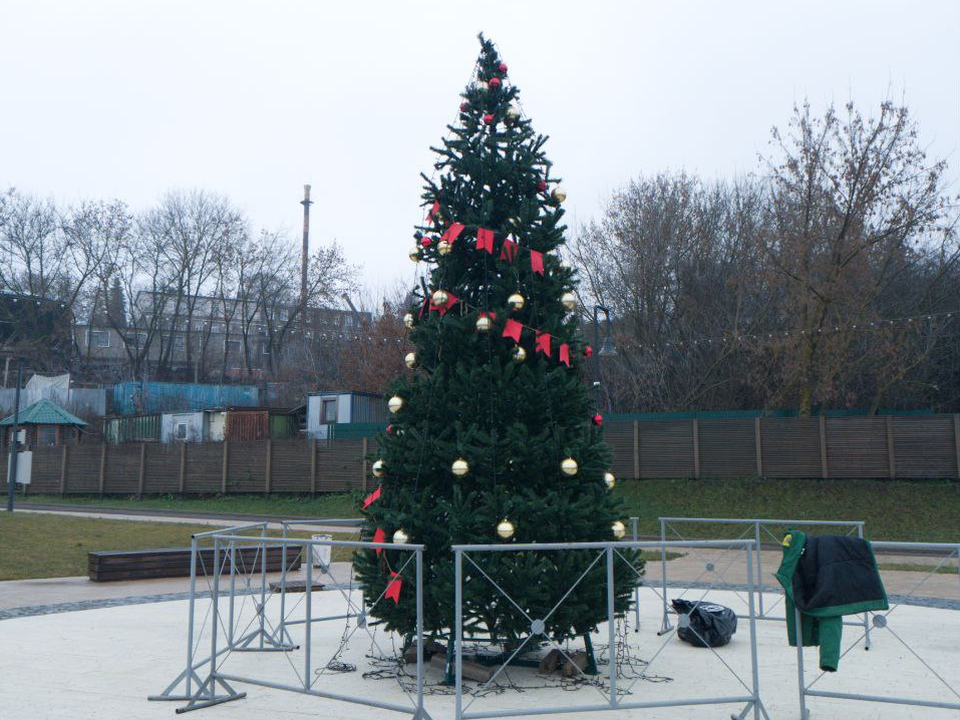 Каширян приглашают на набережную полюбоваться установленной новогодней елкой