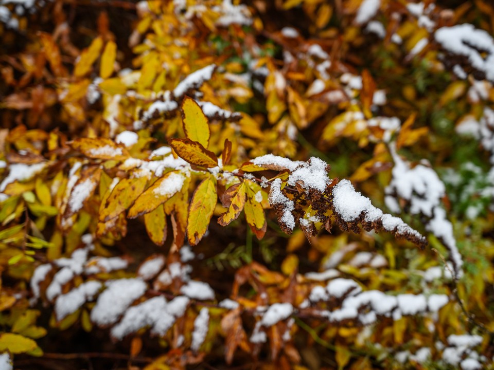 Резкое понижение температуры грозит жителям Подмосковья головными болями