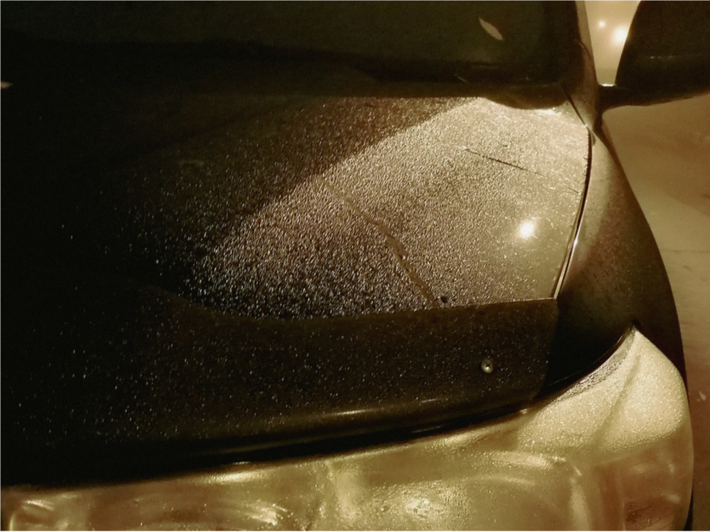 Почти нулевая видимость: на Мытищи опустился плотный туман после ледяного дождя