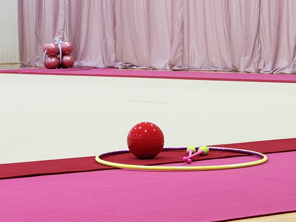 Отделение гимнастики в Бронницах объявило дополнительный набор детей