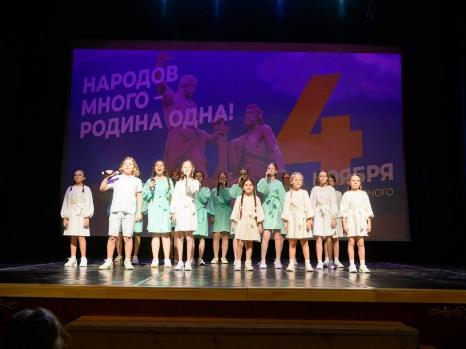 Выступления местных талантов и сбор гумпомощи: чем еще запомнился День народного единства в Лыткарине