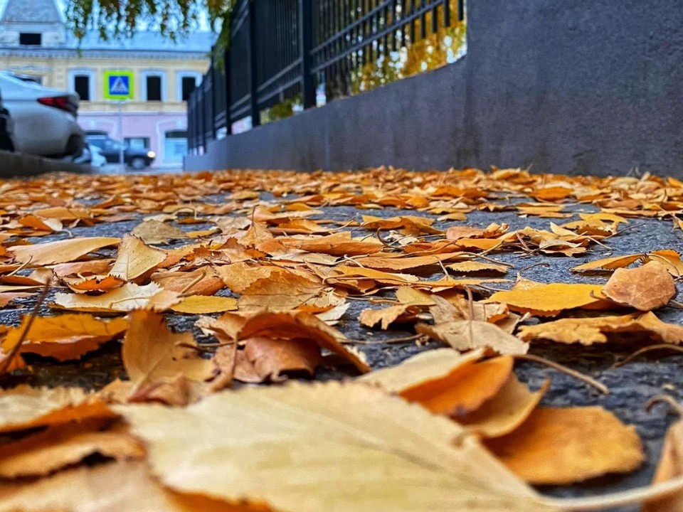 Дождливая и пасмурная погода ожидается в Лосино-Петровском