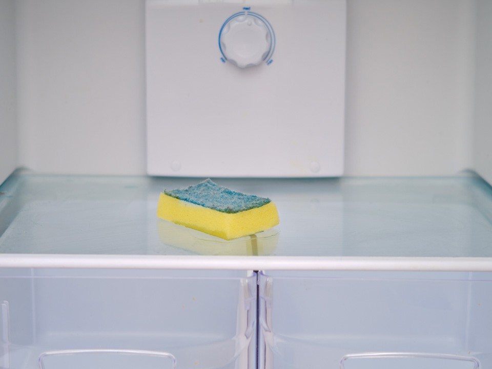 Ошибка, из-за которой продукты портятся, исправляется губкой на полке в холодильнике