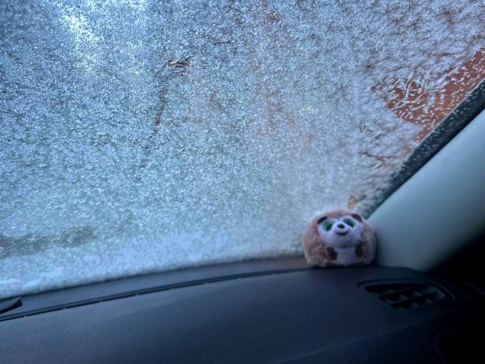 Зима близко: первый снег сняли на видео в Павловской Слободе