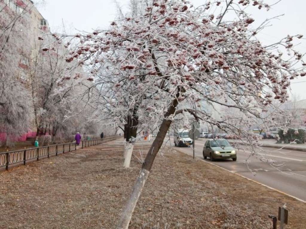 Точную дату начала климатической осени назвали синоптики