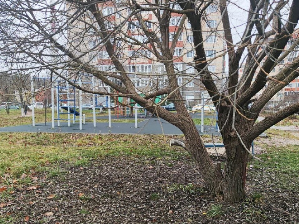 Сухие ветки обрезали возле спортивной площадки на улице Михаила Марченко