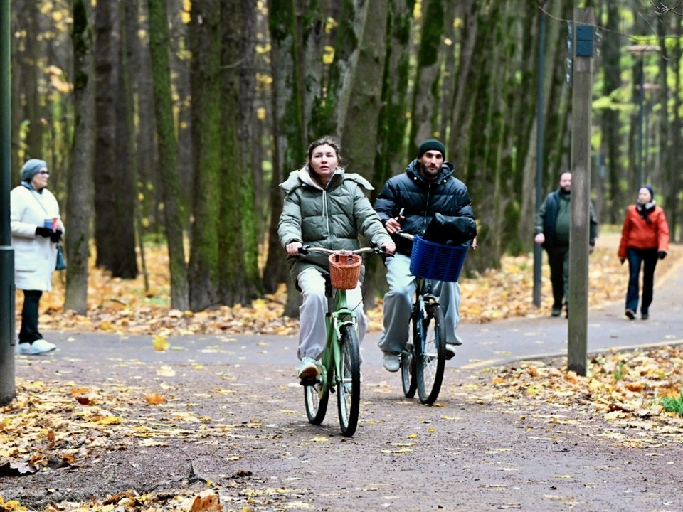 Умные камеры будут следить за чистотой и общественным порядком в подмосковных парках