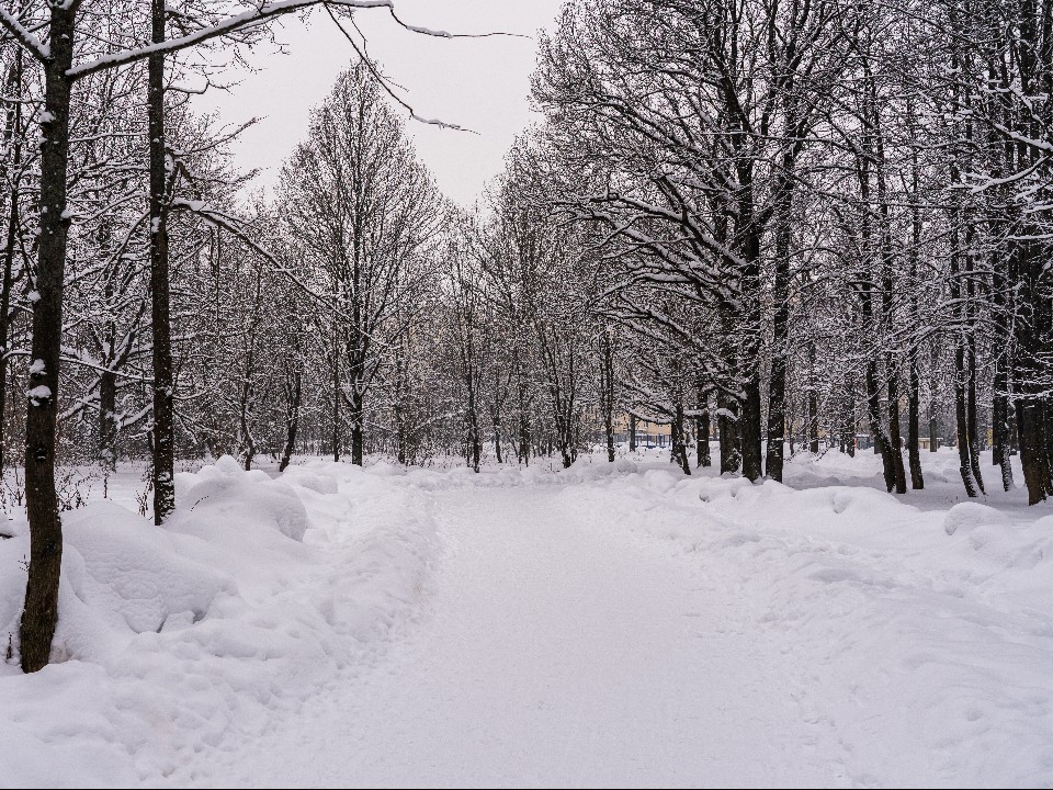 Морозы и снегопады — раньше обычного: синоптик Ильин назвал точный день, когда Москва побелеет