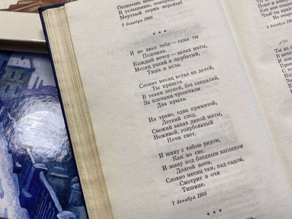 Читаем Блока всей Черноголовкой: библиотека запускает онлайн-проект