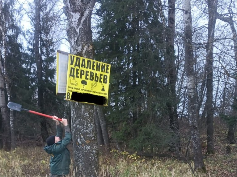 Лесная охрана сняла 26 рекламных табличек с деревьев в Наро-Фоминском лесу