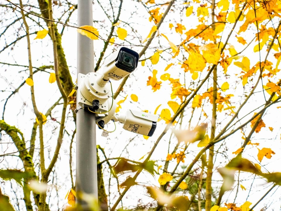 Стало известно, что происходит с благоустройством лесопарка Новой Трехгорки