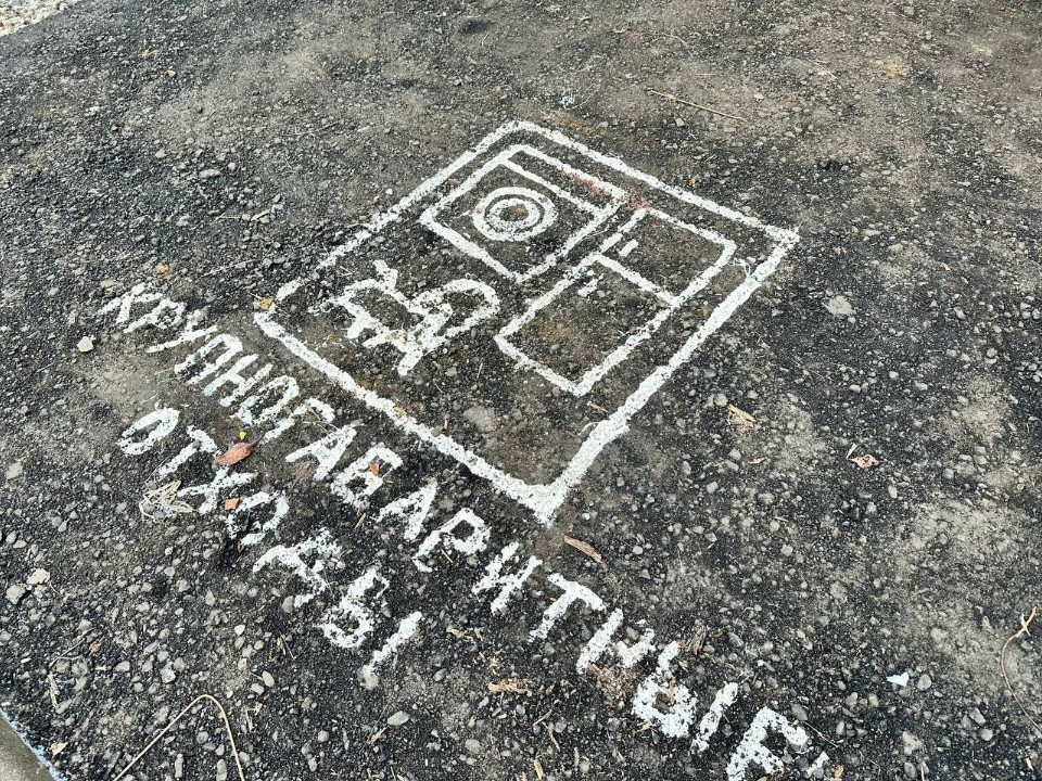 Ветеринарная стала чище: коммунальщики ликвидировали стихийную свалку мусора в Лотошине