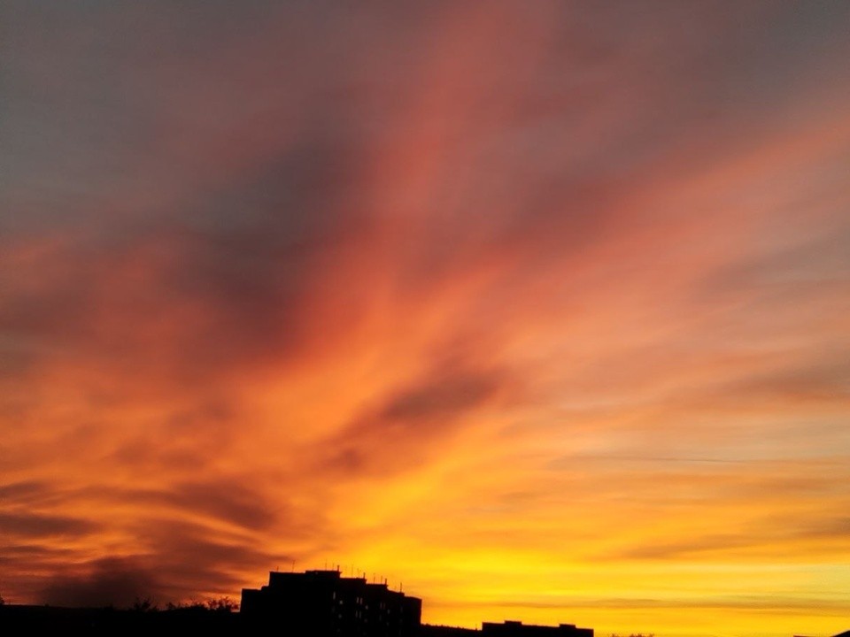 Аномальное тепло задержится в Подмосковье в последние дни ноября