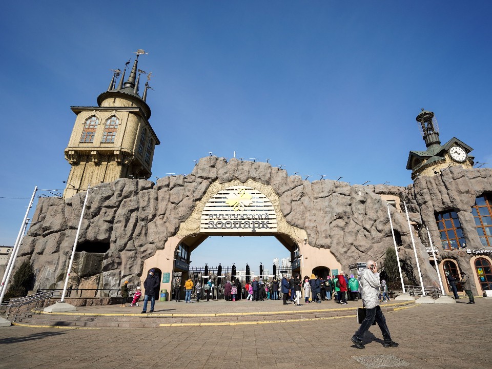 «Любитель солнца и прыжков»: что может быть лучше, чем видео с милым пушистиком