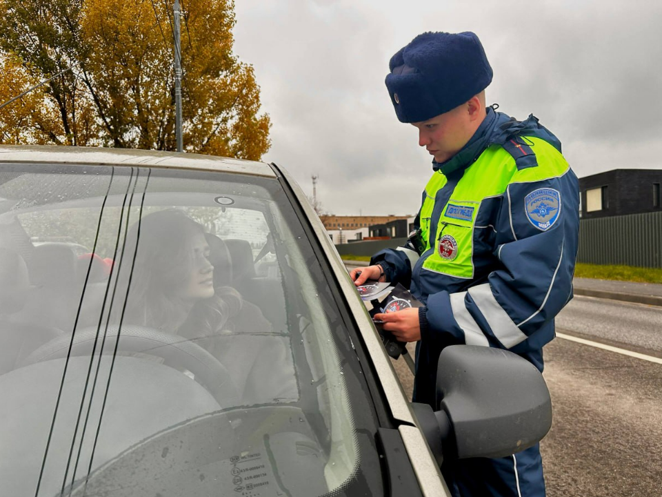 Госавтоинспекторы Химок напомнили водителям, чем опасна спешка перед «зеброй»