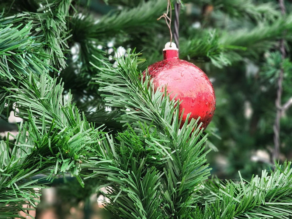 Новогоднее дерево начало досрочно радовать прохожих в Старой Купавне