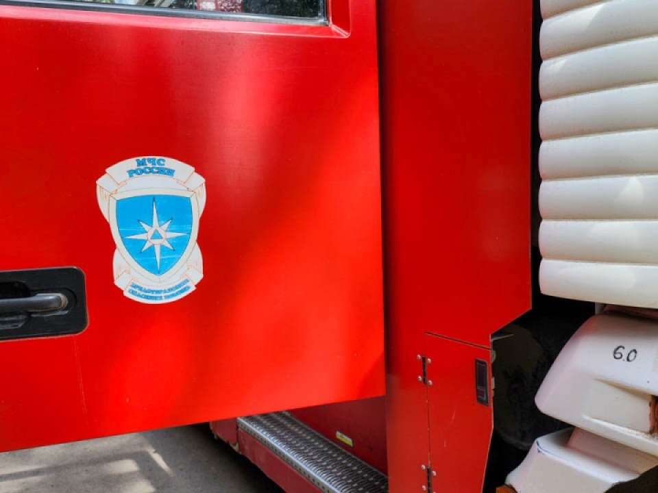 Сила огненной стихии: сколько человек спасли за сутки из пожаров в Подмосковье