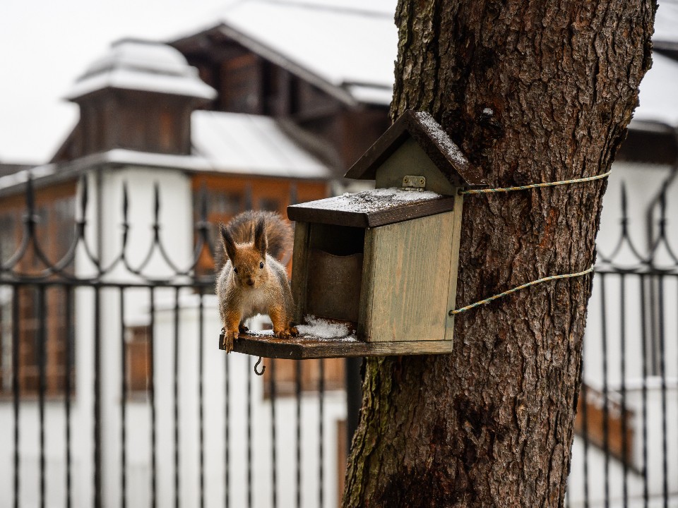 Подольчан ждет самая морозная и снежная зима за последние 250 лет: правда или вброс?