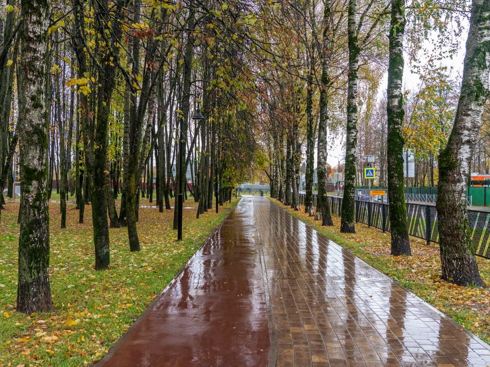 Дождливая погода при 10 градусах тепла ожидается в пятницу