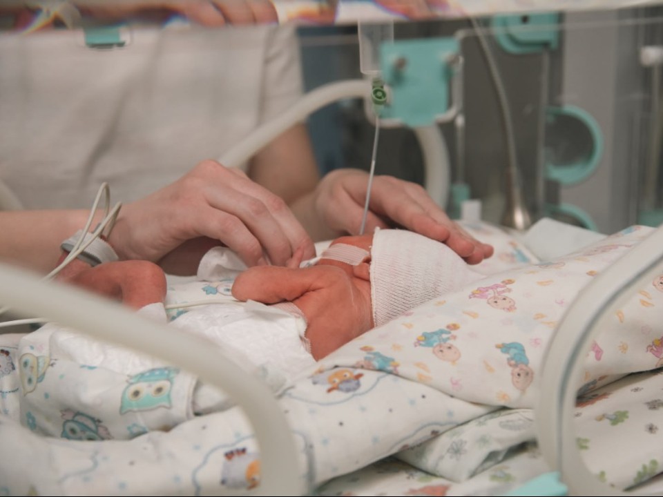 Когда каждая минута на счету: как в Подмосковье спасают недоношенных младенцев с экстремально низкой массой тела