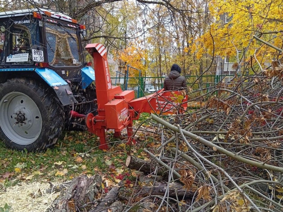 Лесные стражи в зоне риска: как в Сергиевом Посаде приводят в порядок зеленые насаждения