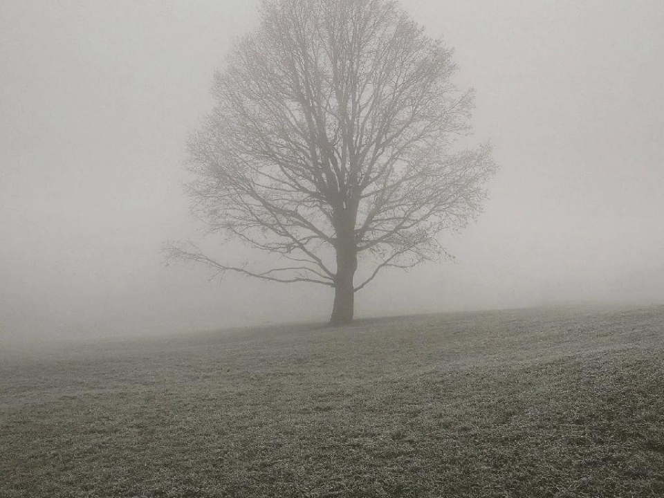 Три дня тревоги: магнитные бури и давление накроют Подмосковье до конца недели