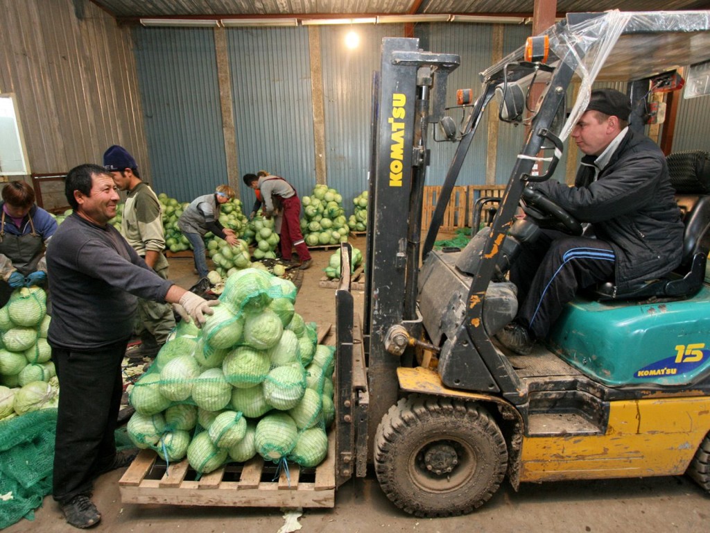 Инспекция в Ступине: хозяйству ЗАО «Леонтьево» подтвердили безопасность продукции