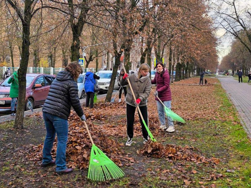 Около 550 мешков листвы собрали на улицах Электростали