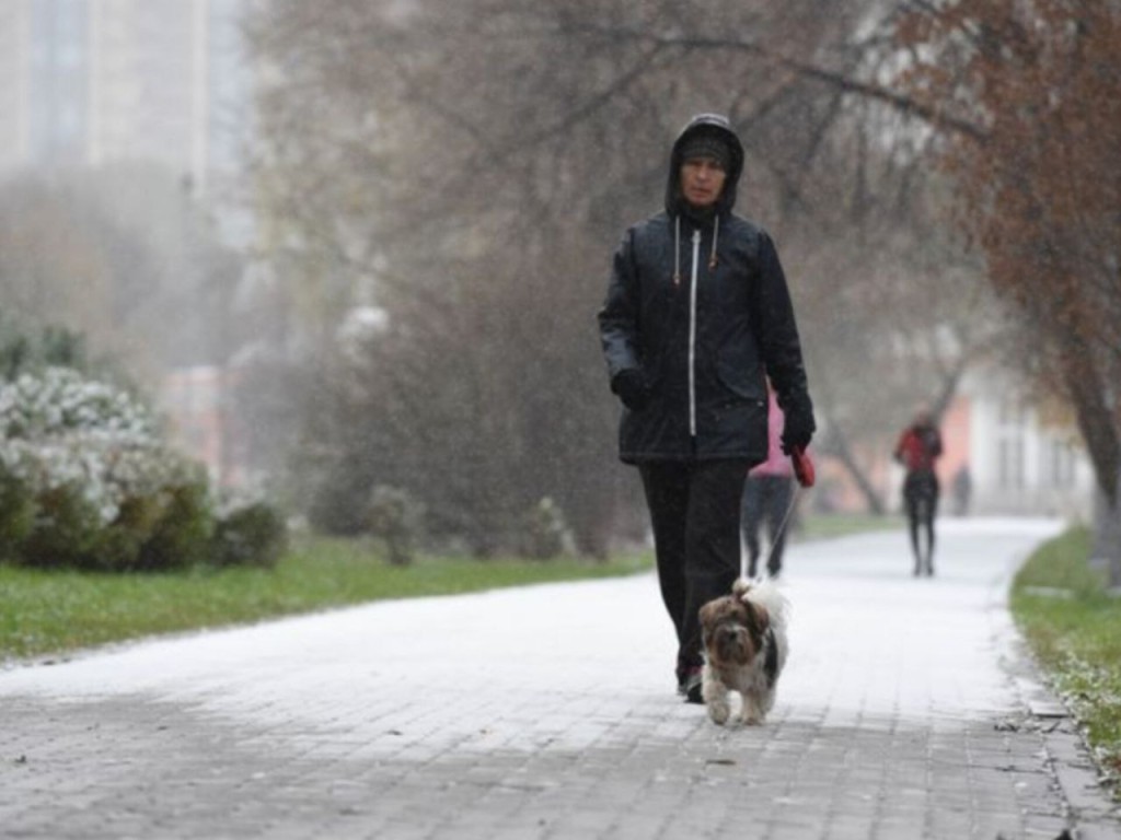 Сколько пролежит первый снег? Синоптик Ильин спрогнозировал, погоду в Подмосковье на следующей неделе