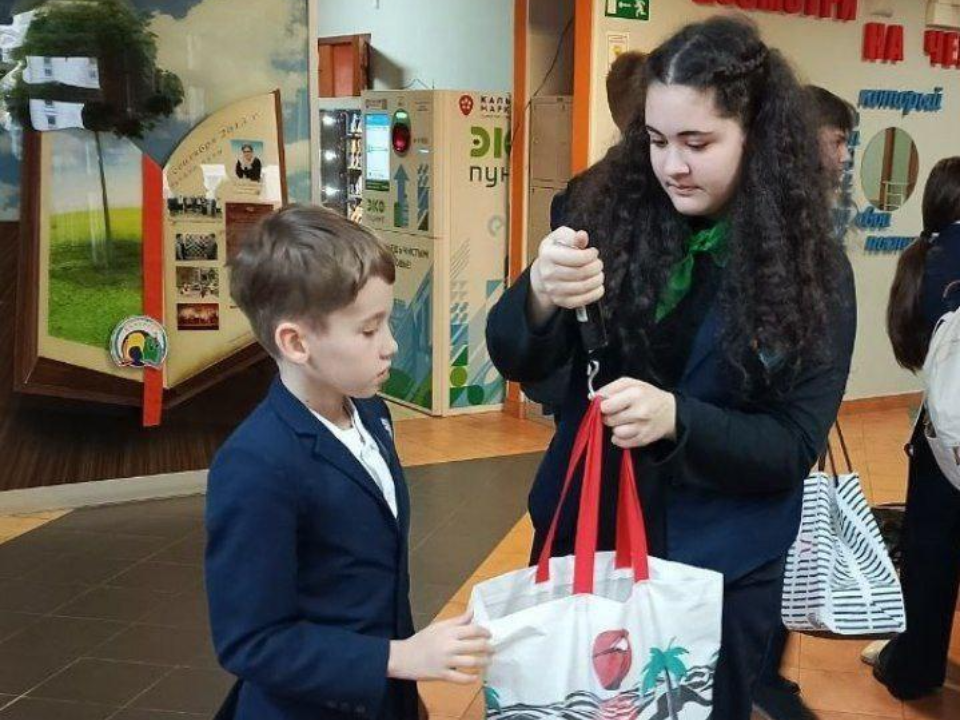 Спасли девять деревьев: люберецкие школьники собрали более 800 кг макулатуры за две недели