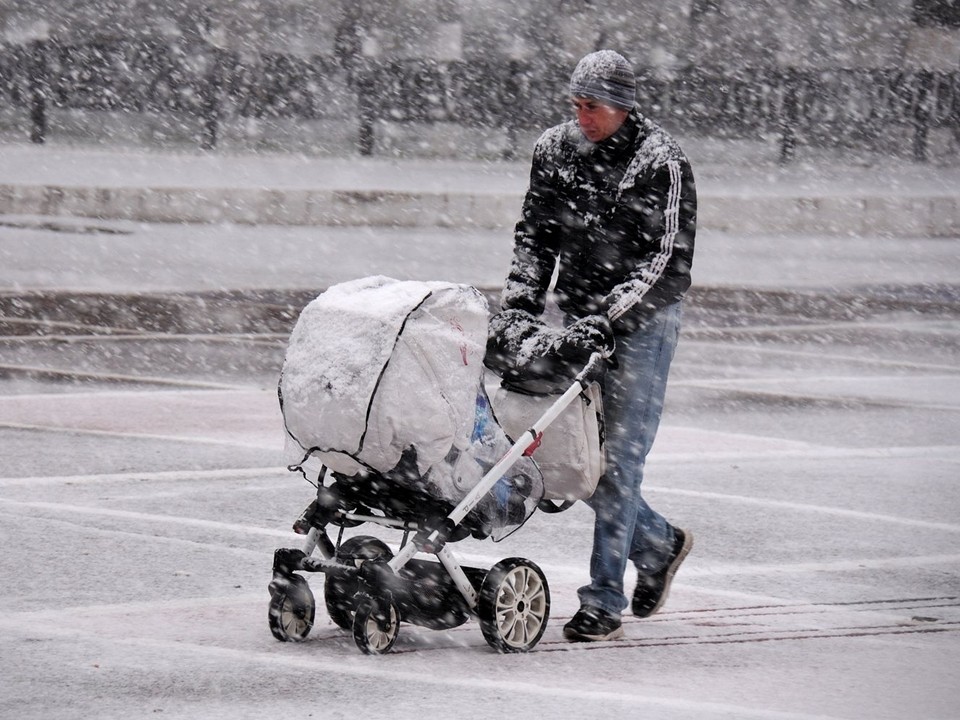 Дождь со снегом и солнечное воскресенье: зима приходит в Подмосковье