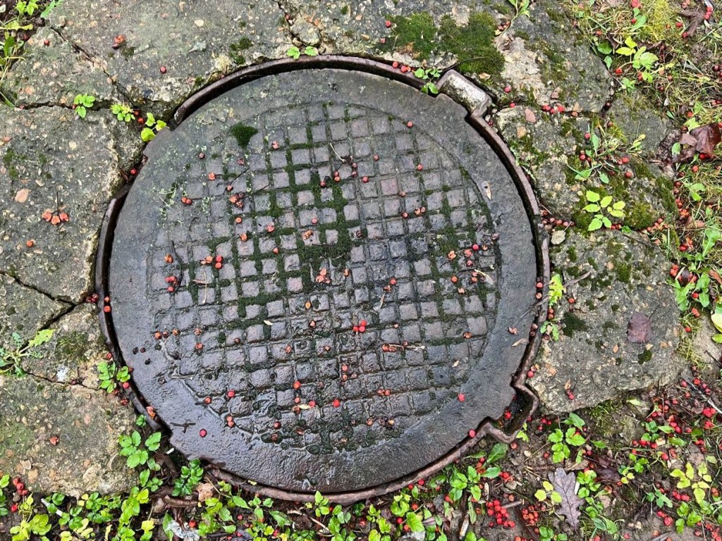 Ватная палочка: как «маленькая» привычка может превратиться в большую катастрофу