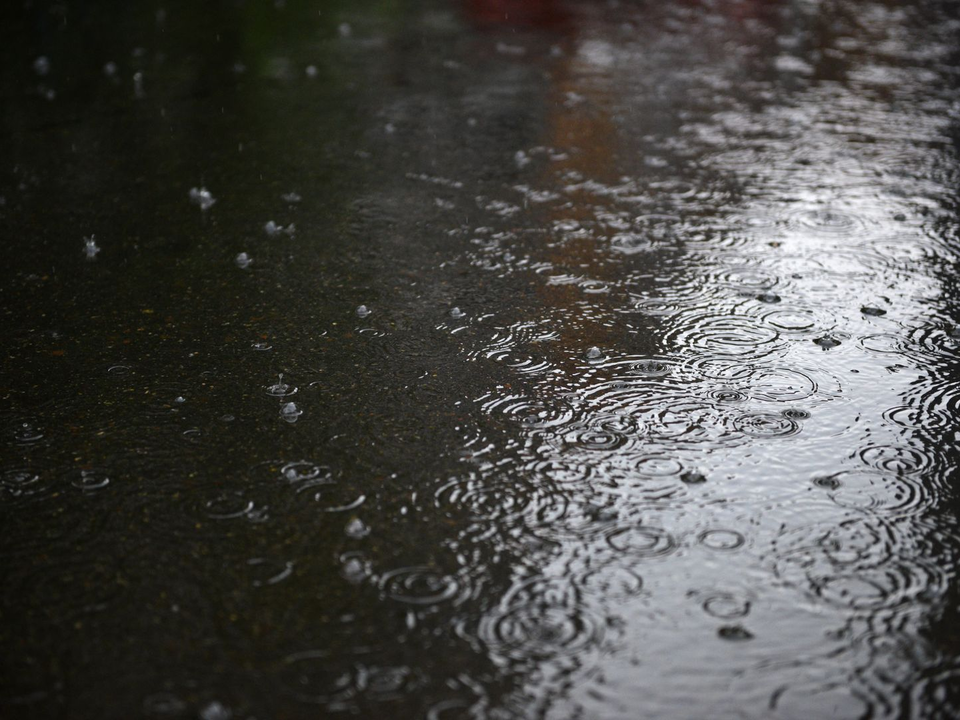 Мощные дожди и потепление до +7: какие погодные сюрпризы ждут Подмосковье на текущей неделе