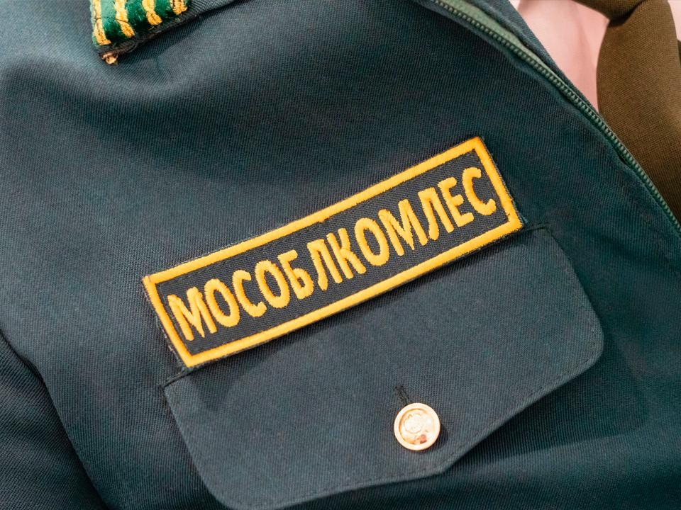 Лесопожарная обстановка на 15-17 ноября остается стабильной