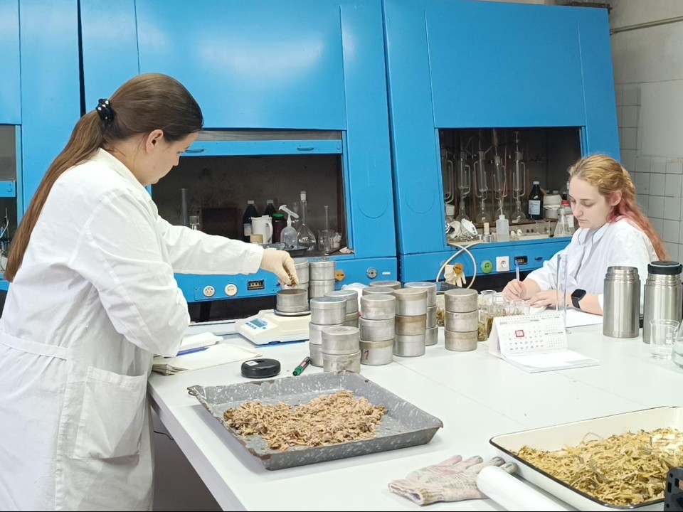 В новой лаборатории ФНЦ имени Вильямса молодые ученые изучают метагеномику кормов