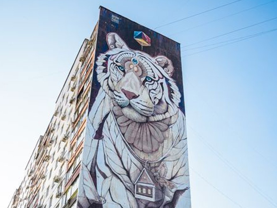 «Мой дом — произведение искусства»: муралам в Железнодорожном исполнилось три года