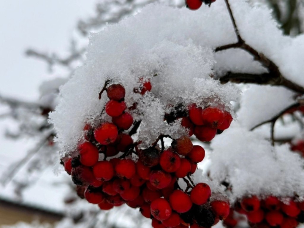 Гороскоп для всех знаков Зодиака на 18 ноября 2025: Овнам, Тельцам и Львам лучше не конфликтовать, а к Близнецам, Ракам и Стрельцам придет успех