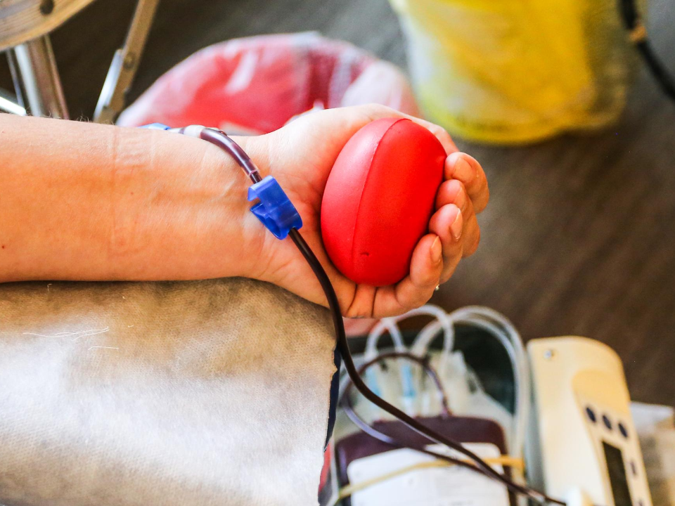 В Дубне снова пройдет донорская акция: где и когда можно сдать кровь и получить дополнительный выходной день