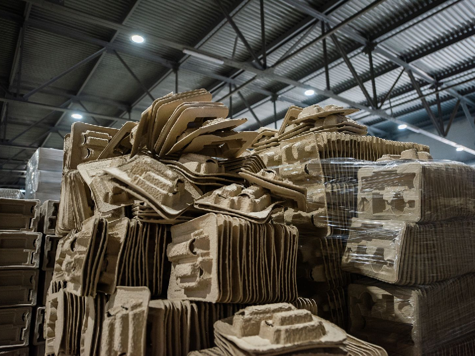 Жители Дубны могут сдать макулатуру и получить ценные призы