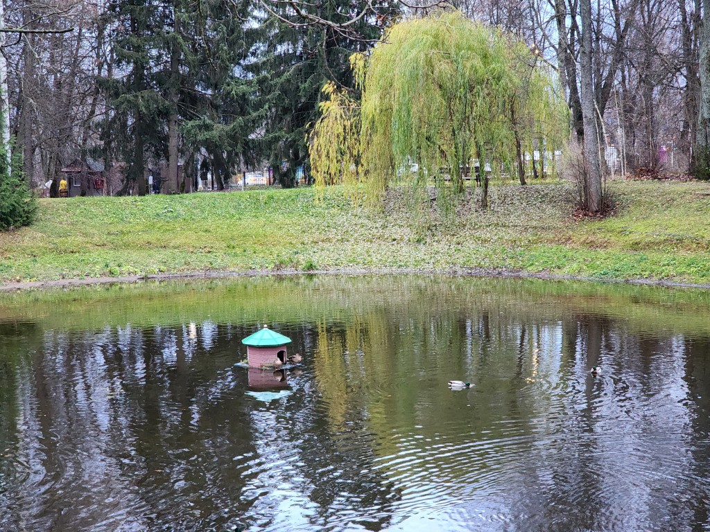 Куда сходить 23 ноября: гид по ярким и увлекательным событиям для всей семьи