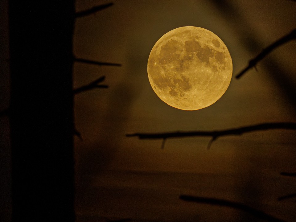 «Не пускать холод внутрь»: что можно и нельзя делать во время Бобрового суперлуния