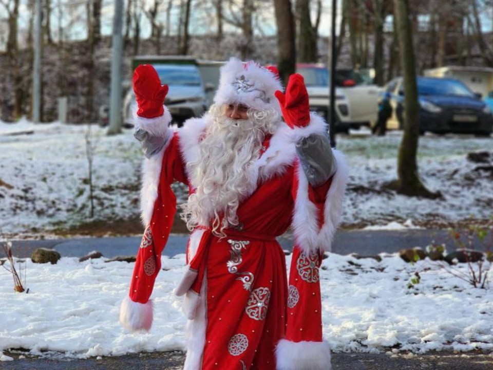 Изящные олени и доброжелательные собаки: что подготовили для жителей на открытии зимнего сезона в парке Рузы