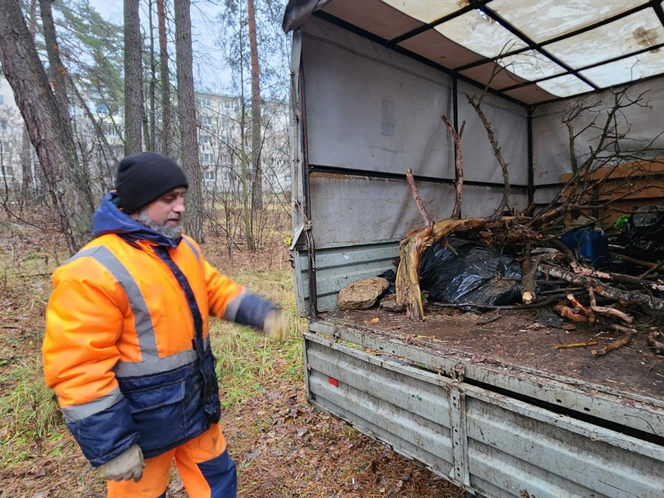 Лес возле протвинской автостанции очищают от сухих стволов и ветвей