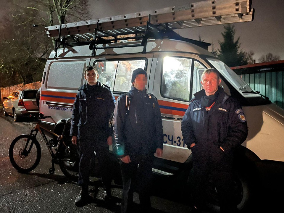 Квест «Потеряшка» завершен: почему курьеру не стоило срезать путь через Чеховский лес