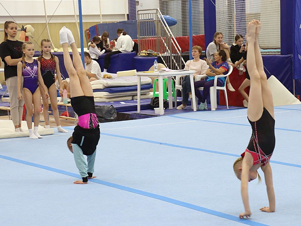 Гимнасты из Ступина изменили график побед