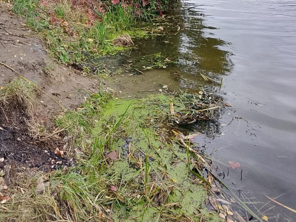 Нарушение на берегу: почему компания-застройщик в Красногорске оказалась в поле зрения экологов и что ей теперь грозит